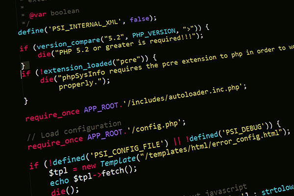 Custom programming and web development services in Chiswick